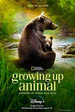 动物成长高清海报
